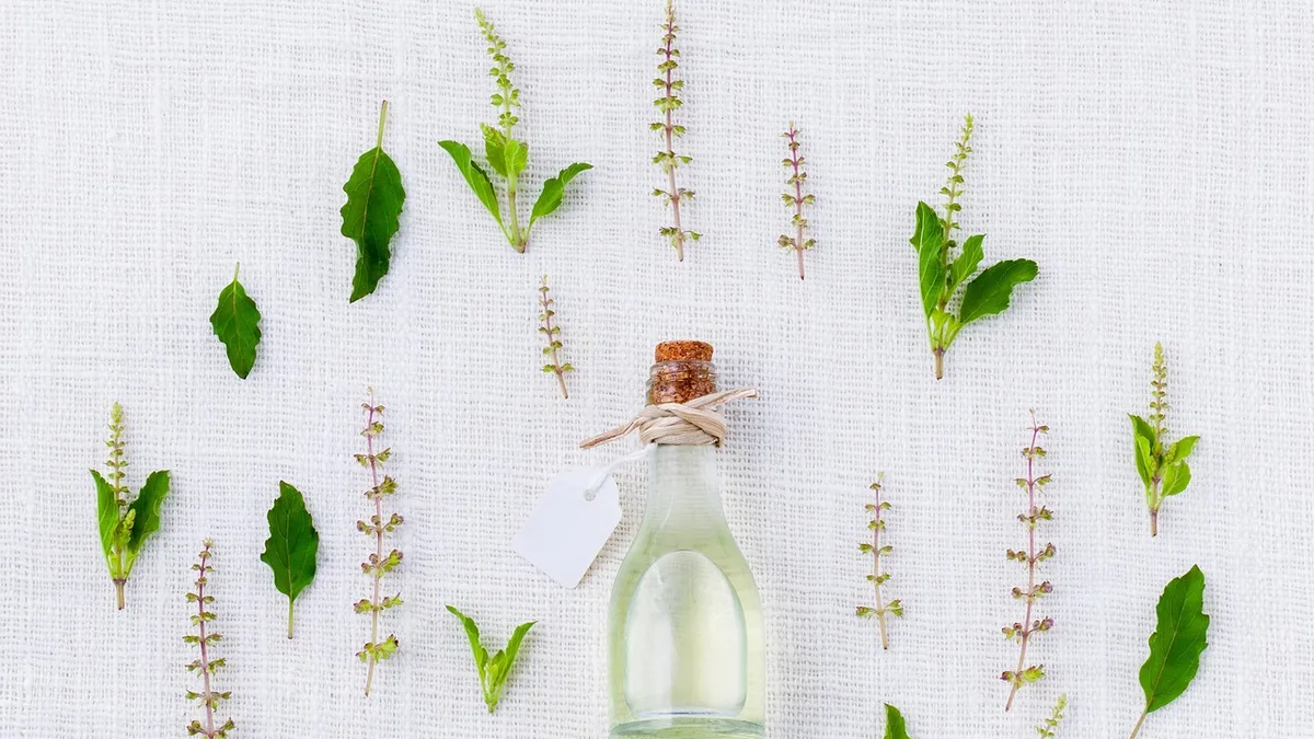 basil, aroma, spices, essential, herbal, organic, aromatic, perfume, medicinal, essence, condiment, medicine, bottle, healthy, alternative, herbs, ingredient, sanctum, fresh, oil, food, aromatherapy, thyme, perfume, medicine, medicine, herbs, herbs, herbs, herbs, herbs, food, food
